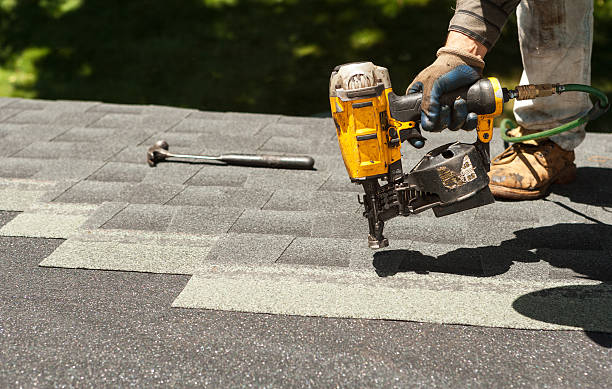 Best Roof Moss and Algae Removal  in Cressona, PA